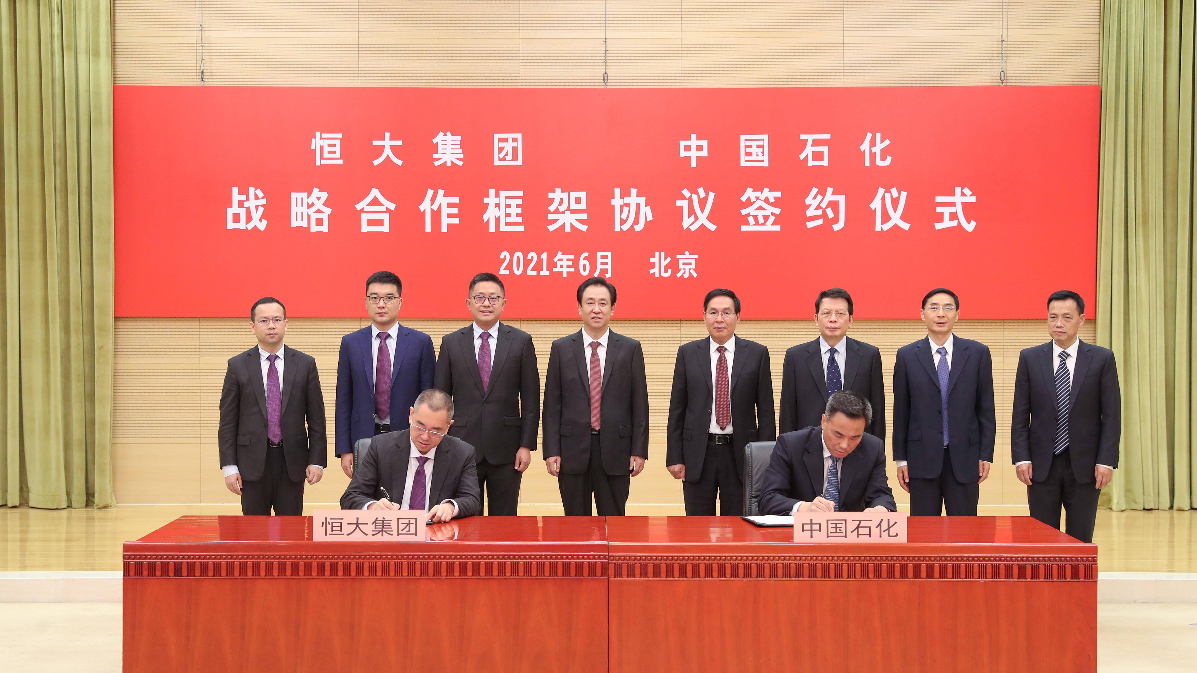 科技重塑未来，最新集团公司成立条件与新纪元启航