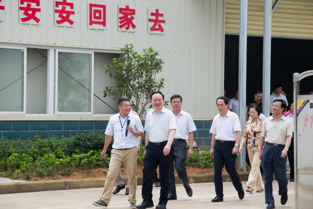 ISO 14001最新版标准，科技引领绿色未来，重塑环境保护新篇章