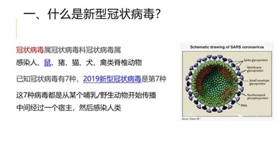 心冠病毒最新数据获取与理解步骤指南，初学者到进阶用户的必备指南