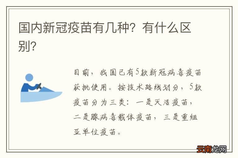 最新国内新冠疫苗深度解析与探讨✨