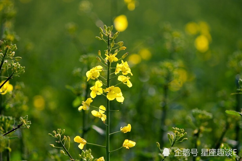 青岛物流公司 第101页