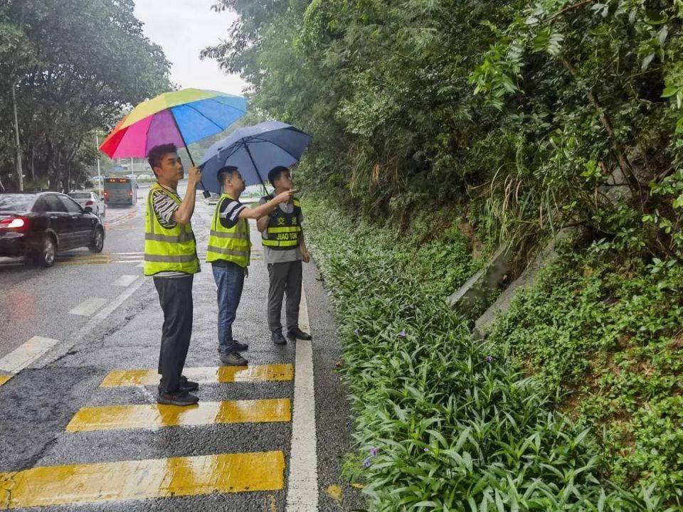 深圳台风最新动态，台风下的轻松旅行探索自然美景