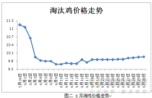 最新淘汰鸡价格行情分析与趋势预测