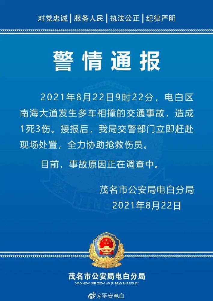 电白新闻聚焦时事，多元观点交织的最新报道