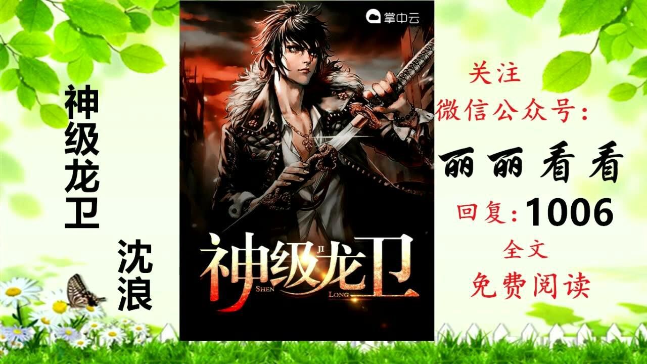 神级龙卫，日常趣事与友情的温暖纽带最新章节列表更新中