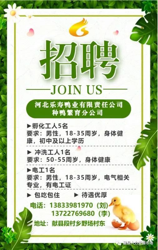 北辰最新招聘启事及职位空缺