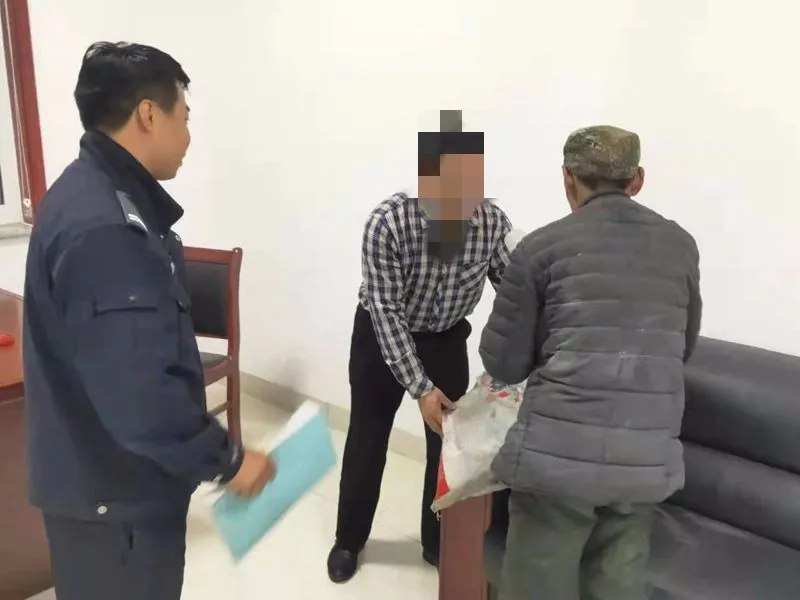 友情与陪伴的温馨日常，最新黑马闪亮登场