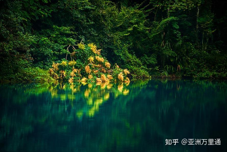 探索自然美景的轻松之旅，最新系列，寻找内心平和之地