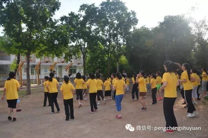 最新晨练，阳光下的温馨日常启动
