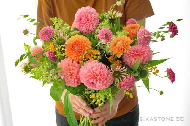 新蕾最新